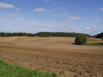 Agrarimmobilien_Ackerland