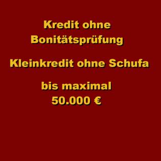 Kredit bis maximal 50.000 € ohne Schufaprüfung