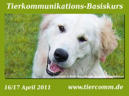 Tierkommunikation Kurs Schleswig- Holstein 16/17 April2021