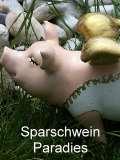 Sparschwein Paradies und Geldgeschenke zu Hochzeit