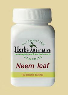 Neem leaf  Kapseln