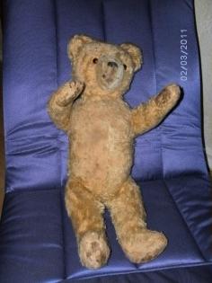 Steiffteddy alt
