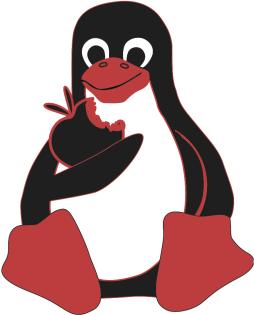 Service Mac OSX Linux Xbox 360 Wii PS3 PSP iPhone Jailbreak Umbau Flash CFW HBC