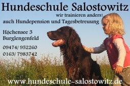 Probleme mit ihrem Hund ?