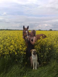 Kangal GermanischerBärenhund Welpen 