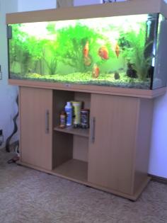 Juwel Aquarium zu verkaufen