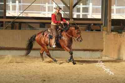 Westerntraining für Pferd und Reiter im Bereich ME und Kempen