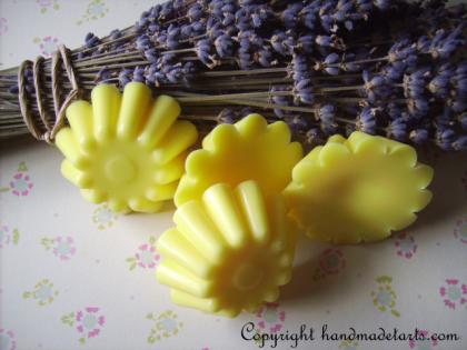Handmade Tarts