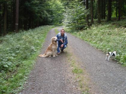 Wohlerzogener Familienhund (Golden Retriever) und ruhiger, kinderlieber Jack Rus