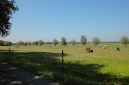 Restbauernhof für gewerbl. Tierhaltung, sehr gepflegt, in ländl. ruhiger Lage