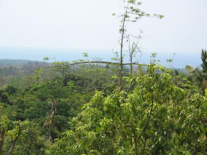 Matahari Mountain Resort - Tegal Linggah / Bali