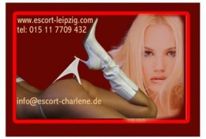 Escortagentur Charlene sucht attraktive, charmante  Männer und Frauen 