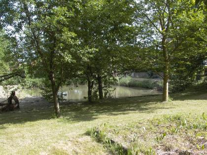 Schönes Wald Weiher ( Teich ) Grundstück ca. 10000qm,mit Hütte ca.30qm in schöne