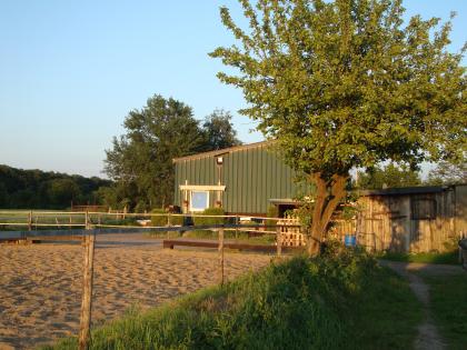 Box frei mit viel Weidegang in Vollpension