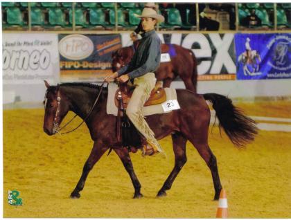 Westernreitunterricht und Beritt
