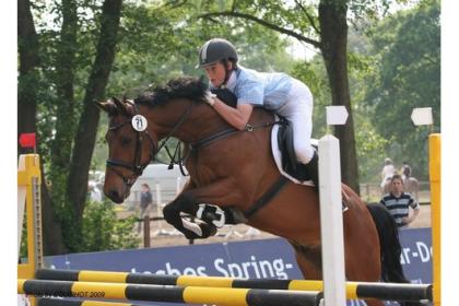 Sportlicher hübscher Deutsches Reitpony Wallach und Stute zur verkaufen