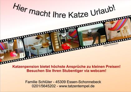 Katzenpension Nrw Rommerskirchen mit Webcam!