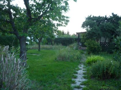 Garten mit Gartenlaube in Großenhain zu verschenken