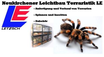 Terrarienbau-Leichtbauterrarien LE