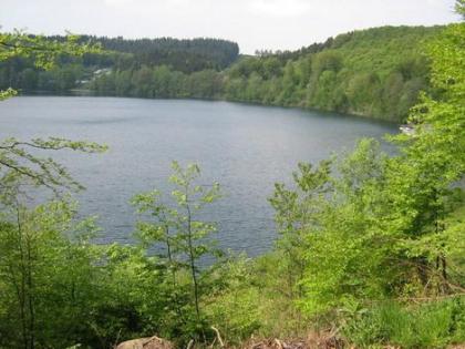 Urlaub in Eifel und Mosel Nähe der Lavabombe