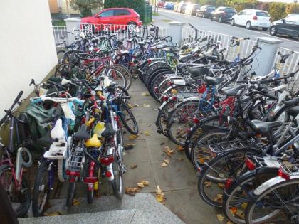 (37) 27 Gang 29 Zoll Gabel gefedert Öl Bremsen incl Scheibe Rh 43