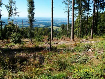 Bayerischer Wald,....Natur pur