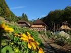 Urlaub im Schwarzwald - Ferienwohnungen auf dem Bauernhof
