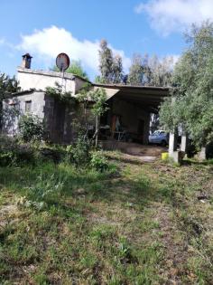 Italien, Sardinien, Weinberg, Land, 3 Ha, Existenz, Baugenehmigung