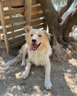 Bounty sucht ein passendes Zuhause