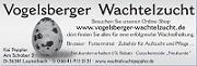 Shop für Geflügel und Wachtelhalter Wachtelfutter Futterautomaten