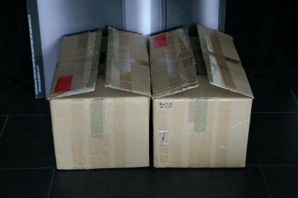 2 Stück Audionet AMP Mono Endstufe