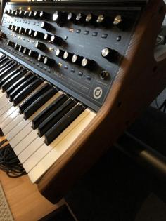 Moog Sub 37 Tribute Edition Analog Synthesizer