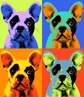 Pop Art Portrait vom Foto