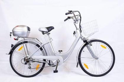 Elektrofahrrad 118x116x63cm Fahrrad E-Bike Silber Elektro Motor Pedelec 26