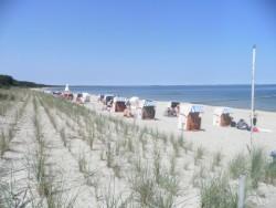 Ostsee Insel Rügen - Last Minute - 30.06. - 7.7-0.7978 - strandnahes 5 Sterne Feri