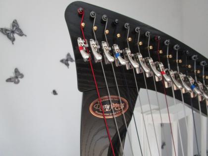 Harfe Dusty Strings Ravenna 34 kaum bespielt 1 Jahr alt