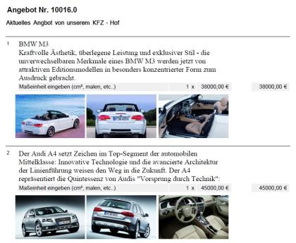 Angebots- und Rechnungsprogramm optional mit Bildern für Hausmeisterbetriebe