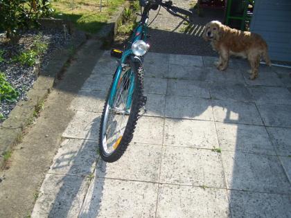 Zuverkaufen 26 Zoll Damencitybike, der Marke Globe-Trotter Benidorn CID04.