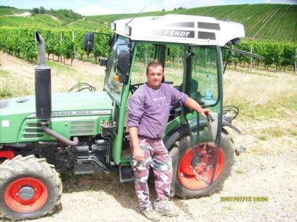 Ich biete handarbeit ausführen im Weinberg?