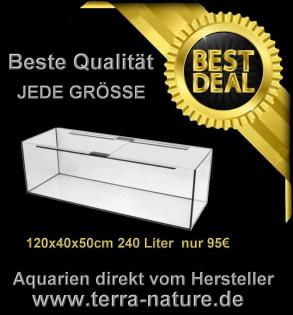 Aquarium 120x60x70cm Sonderangebot