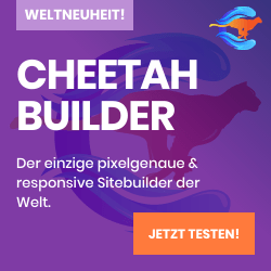Live-Vorstellung