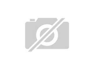 Aliki sucht ein passendes Zuhause