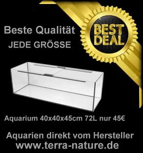 Aquarium 200x70x70cm Sonderangebot