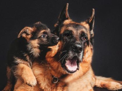 Wir verschenken ein Fotoshooting