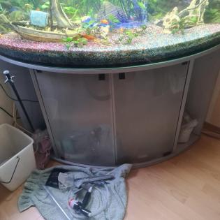 Eckaquarium zu verkaufen