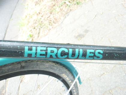 (14) 5 Gang HERCULES 28 Zoll Rh 53 mit Rücktrittsbremse