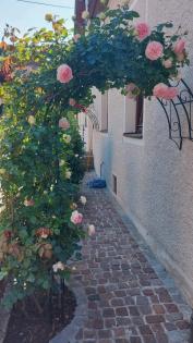 WandRosenbögen Wand Rosenbogen Holland Spitze Lilie oder Rund Halbbogen