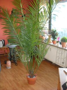 Dekorative naturgetreue Areca-Kunstpalme im Teracotta-Übertopf, 190 cm, zu verka