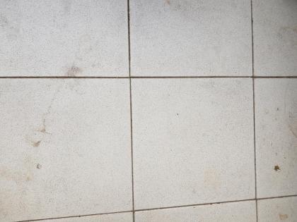 Dachdecker für Balkonsanierung in Diemelstadt gesucht