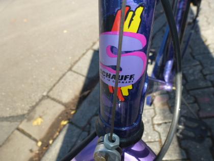 (160) 7 Gang Rücktrittsbremse SCHAUFF 28 Zoll Rh 57